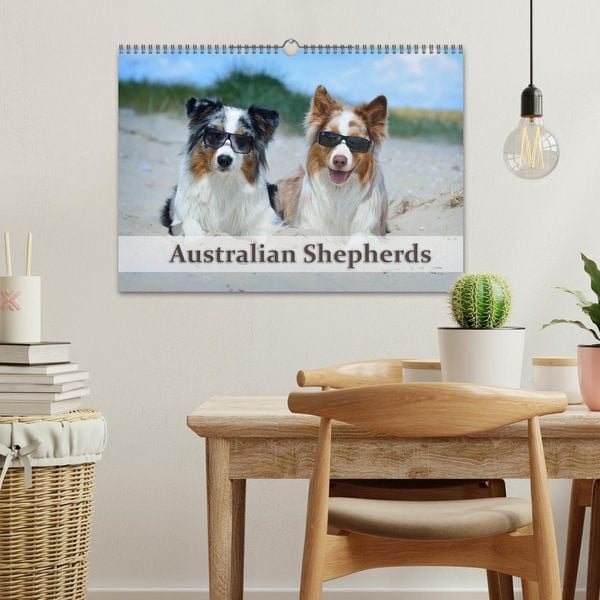 Produktbild: Wunderbare Australian Shepherds (Wandkalender 2026 DIN A3 quer), CALVENDO Monatskalender