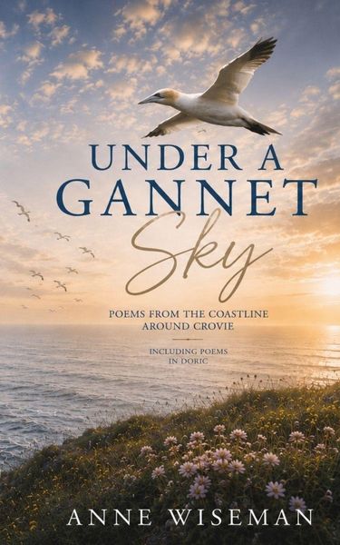Produktbild: Under a Gannet Sky