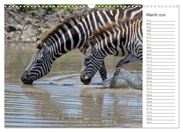 Produktbild: Kenya - its Wildlife (Wall Calendar 2026 DIN A3 landscape), CALVENDO 12 Month Wall Calendar