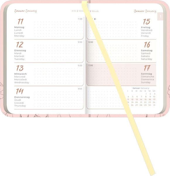 Produktbild: Lady Journal Mini Deluxe Salmon 2027