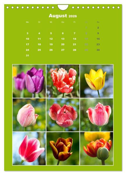 Produktbild: Der kunterbunte Collagen Kalender (Wandkalender 2026 DIN A4 hoch), CALVENDO Monatskalender