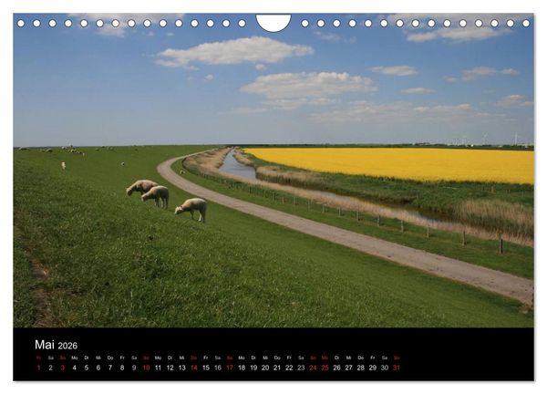 Produktbild: Wunderbare Nordsee (Wandkalender 2026 DIN A4 quer), CALVENDO Monatskalender