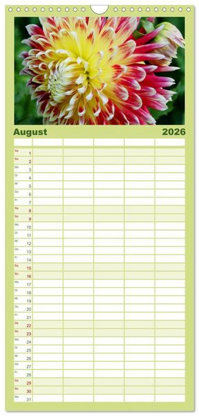 Produktbild: Familienplaner 2026 - Traumhafte Dahlien mit 5 Spalten (Wandkalender, 21 x 45 cm) CALVENDO