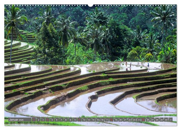 Produktbild: Peter Fischer - Bali 2026 (hochwertiger Premium Wandkalender 2026 DIN A2 quer), Kunstdruck in Hochglanz