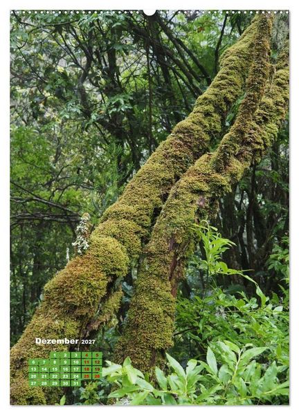 Produktbild: Levadas auf Madeira. Wildromantische Wanderwege (Wandkalender 2027 DIN A2 hoch), CALVENDO Monatskalender