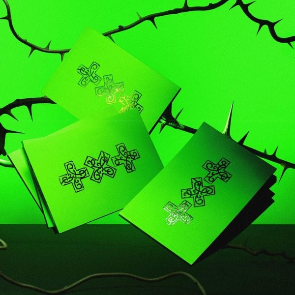 Produktbild: 7th Year: A Moment of Stillness in the Thorns (Thorn Version)