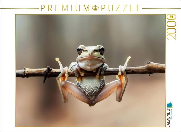 CALVENDO Puzzle Frosch denkt groß, auch wenn er klein ist | 2000 Teile Lege-Größe 90x67cm Foto-Puzzle für glückliche Stu