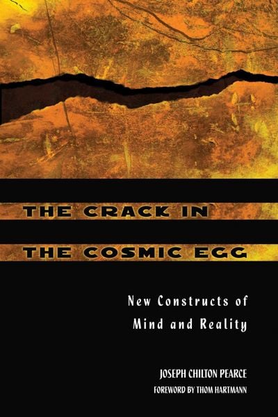 Produktbild: The Crack in the Cosmic Egg