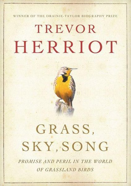 Produktbild: Grass, Sky, Song