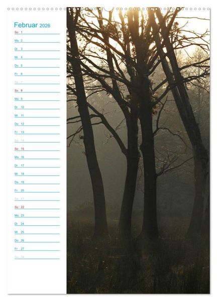 Produktbild: Wunderbarer Spreewald (Wandkalender 2026 DIN A2 hoch), CALVENDO Monatskalender