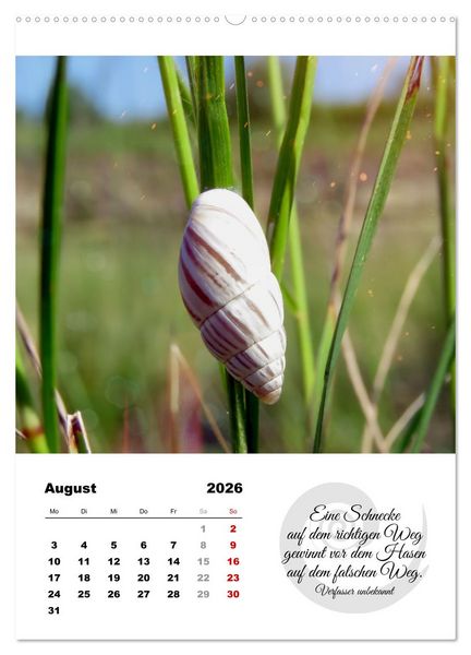 Produktbild: Schnecklein (Wandkalender 2026 DIN A2 hoch), CALVENDO Monatskalender