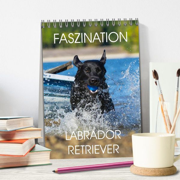 Produktbild: Faszination Labrador Retriever (Tischkalender 2026 DIN A5 hoch), CALVENDO Monatskalender