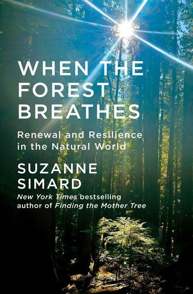 Produktbild: When the Forest Breathes