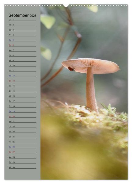 Produktbild: Pastell-Zauber (hochwertiger Premium Wandkalender 2026 DIN A2 hoch), Kunstdruck in Hochglanz
