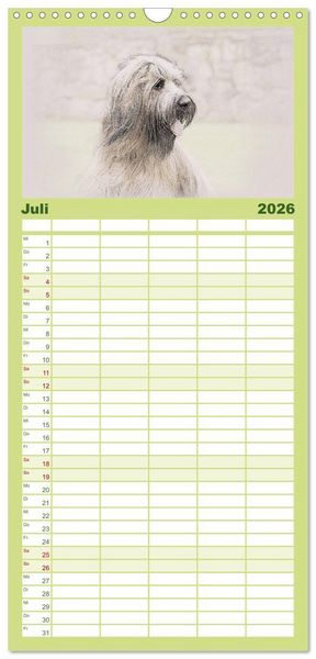 Produktbild: Familienplaner 2026 - Franz&ouml;sische Hirtenhunde 2026 mit 5 Spalten (Wandkalender, 21 x 45 cm) CALVENDO