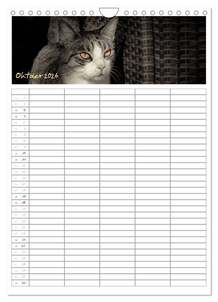 Produktbild: Miezekatzen Planungskalender (Wandkalender 2026 DIN A4 hoch), CALVENDO Monatskalender