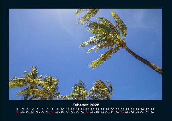 Produktbild: Palmentraum 2026 Fotokalender DIN A4