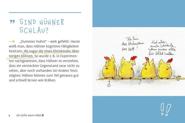 Produktbild: Eine kleine H&uuml;hner-R&auml;tselEI