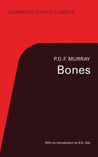 Produktbild: Bones