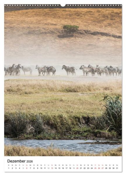 Produktbild: Serengeti Pur - Tansania (Wandkalender 2026 DIN A2 hoch), CALVENDO Monatskalender