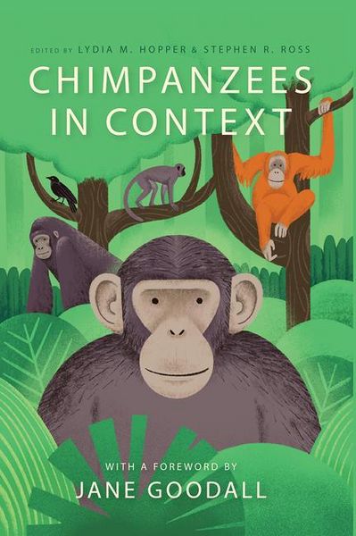 Produktbild: Chimpanzees in Context