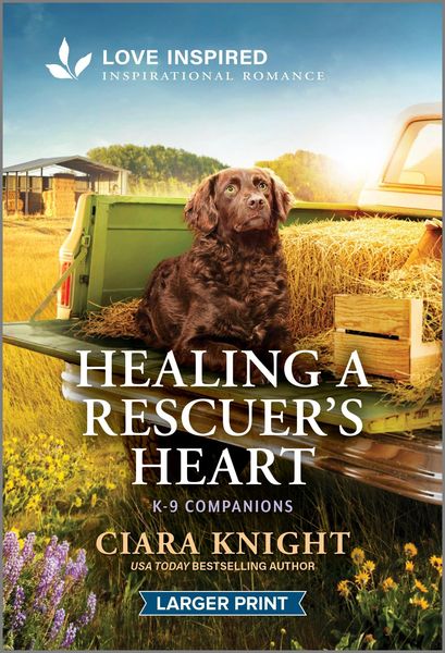 Produktbild: Healing a Rescuer's Heart