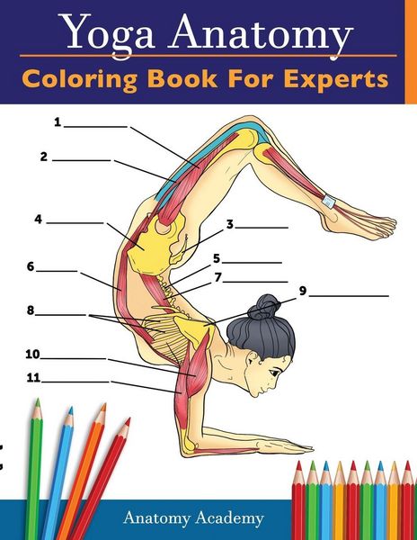 Produktbild: Yoga Anatomy Coloring Book for Experts