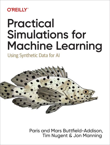 Produktbild: Practical Simulations for Machine Learning