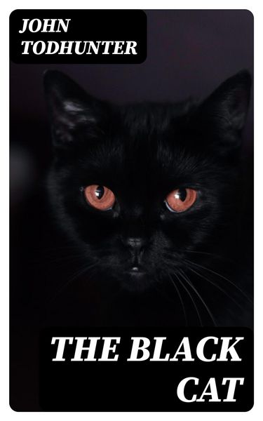 Produktbild: The Black Cat