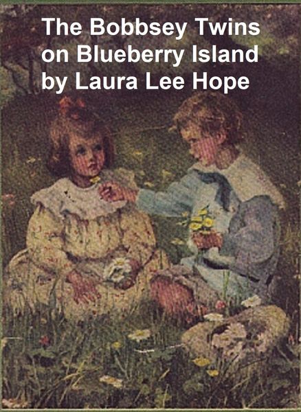 Produktbild: The Bobbsey Twins on Blueberry Island