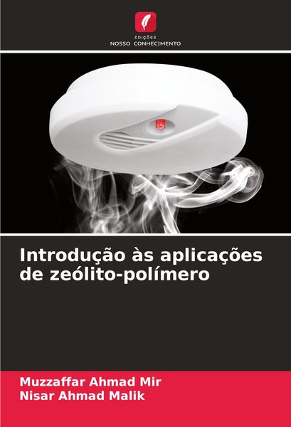 Produktbild: Introdu&ccedil;&atilde;o &agrave;s aplica&ccedil;&otilde;es de ze&oacute;lito-pol&iacute;mero