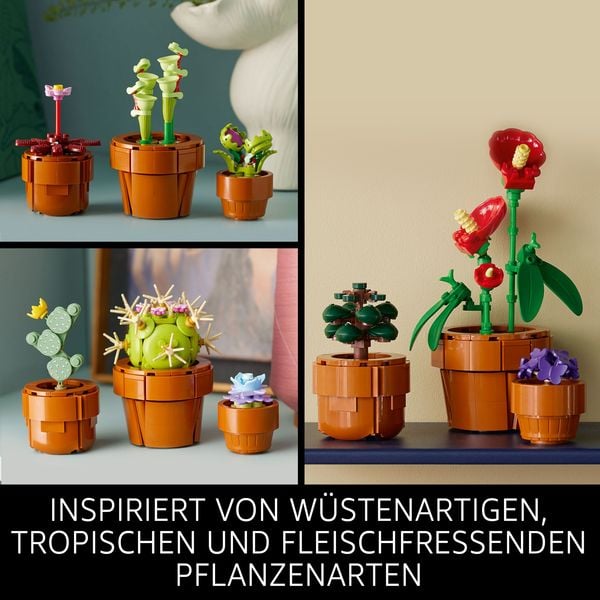 Produktbild: LEGO Icons Botanical Collection 10329 Mini Pflanzen und Blumen Set