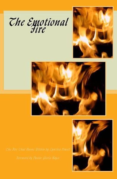 Produktbild: The Emotional Fire: The Fire That Burns Within