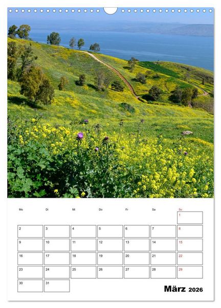 Produktbild: Israel - Der Monatsplaner 2026 (Wandkalender 2026 DIN A3 hoch), CALVENDO Monatskalender