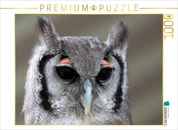 Produktbild: CALVENDO Puzzle Ein Motiv aus dem Kalender Greifv&ouml;gel und Eulen | 1000 Teile Lege-Gr&ouml;&szlig;e 64x48cm Foto-Puzzle f&uuml;r gl&uuml;ckliche Stunden