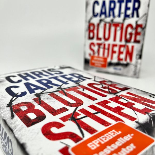 Blutige Stufen (Ein Hunter-und-Garcia-Thriller 12)