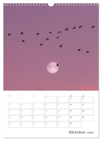 Produktbild: VOLLMOND-Planer - Im Licht der Nacht (Wandkalender 2026 DIN A3 hoch), CALVENDO Monatskalender