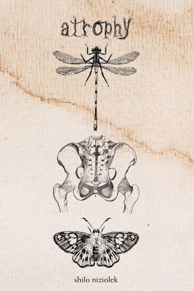 Produktbild: Atrophy