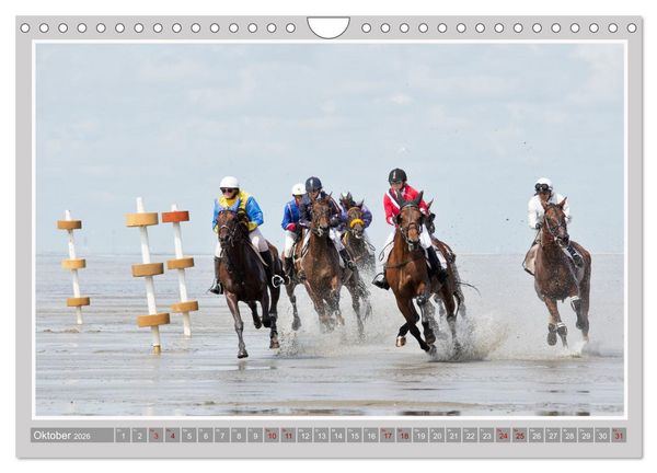 Produktbild: Pferde-Rennen auf Schnee und im Wasser (Wandkalender 2026 DIN A4 quer), CALVENDO Monatskalender