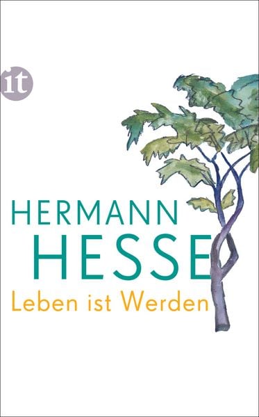 Leben ist Werden, Taschenbuch von Hermann Hesse, Insel, 9783458363170