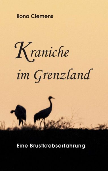 Produktbild: Kraniche im Grenzland