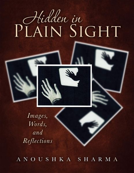 Produktbild: Hidden in Plain Sight