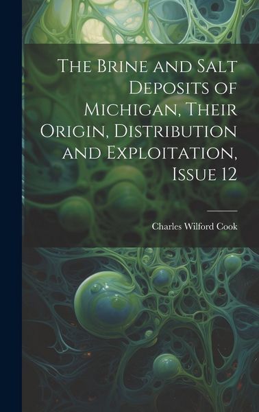 Produktbild: The Brine and Salt Deposits of Michigan, Their Origin, Distribution and Exploitation, Issue 12
