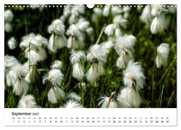 Produktbild: Paradies Naturgarten (Wandkalender 2027 DIN A3 quer), CALVENDO Monatskalender