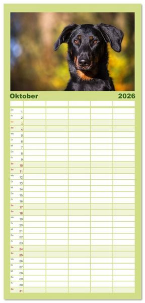 Produktbild: Familienplaner 2026 - Der Beauceron mit 5 Spalten (Wandkalender, 21 x 45 cm) CALVENDO