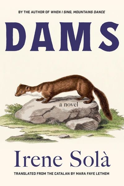 Produktbild: Dams