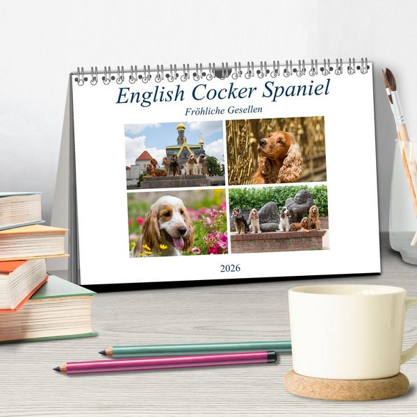 Produktbild: English Cocker Spaniel - Fr&ouml;hliche Gesellen (Tischkalender 2026 DIN A5 quer), CALVENDO Monatskalender