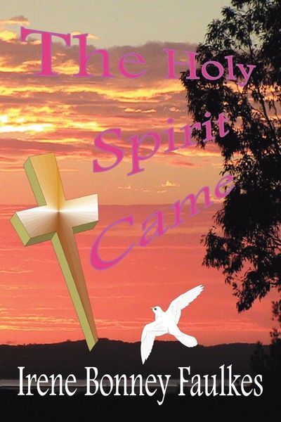 Produktbild: The Holy Spirit Came