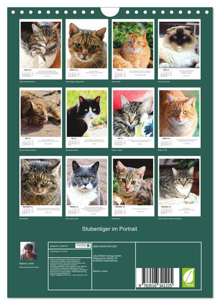 Produktbild: Stubentiger im Portrait (Wandkalender 2026 DIN A4 hoch), CALVENDO Monatskalender