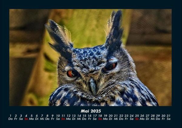 Produktbild: Vogelparadies 2025 Fotokalender DIN A4